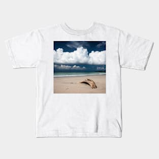 Beach driftwood and dark blue sky Kids T-Shirt